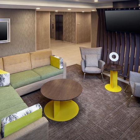 Springhill Suites By Marriott New York Jfk Airport Jamaica Esterno foto